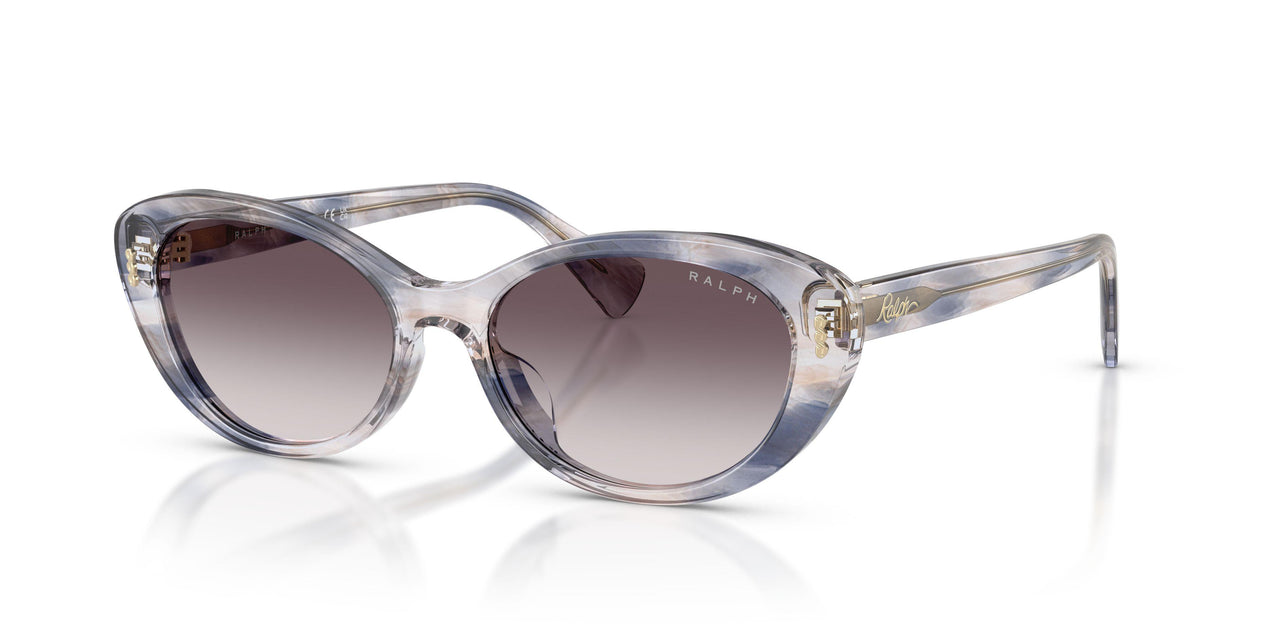 634311 - Tortoise - Grey Gradient