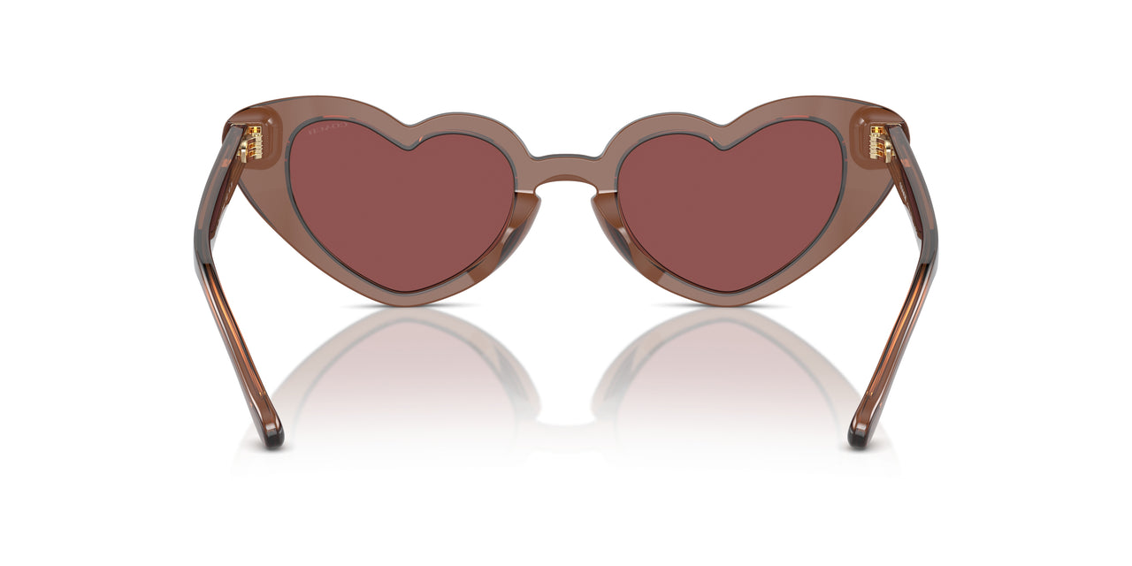 581175 - Brown - Wine