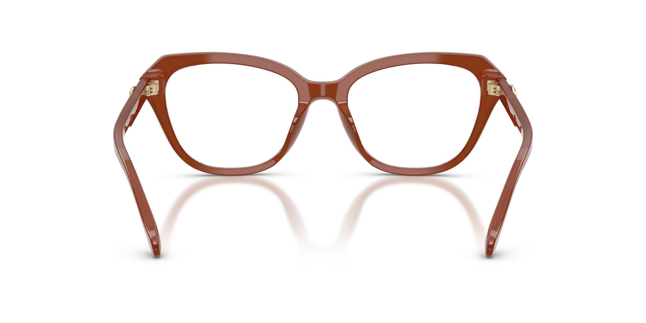 5841 - Brown
