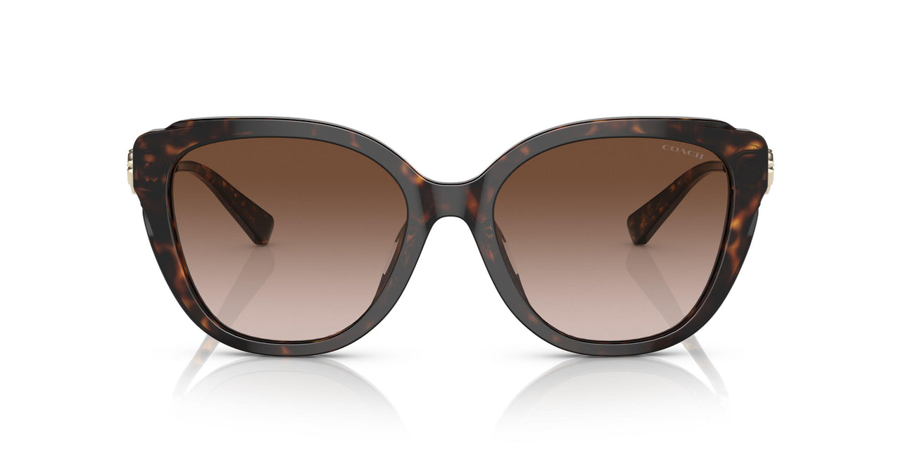 512013 - Havana - Brown Gradient