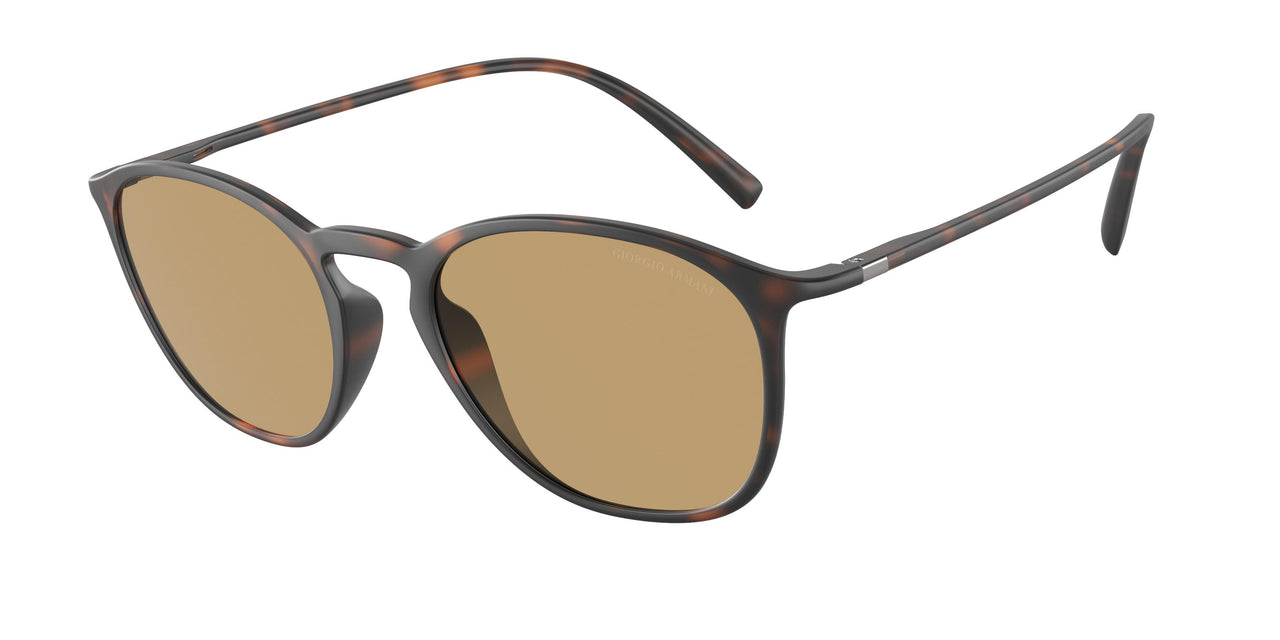 508973 - Tortoise - Dark Brown