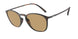 508973 - Tortoise - Dark Brown