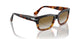 116051 - Brown - Gradient Brown