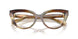 3446 - Brown