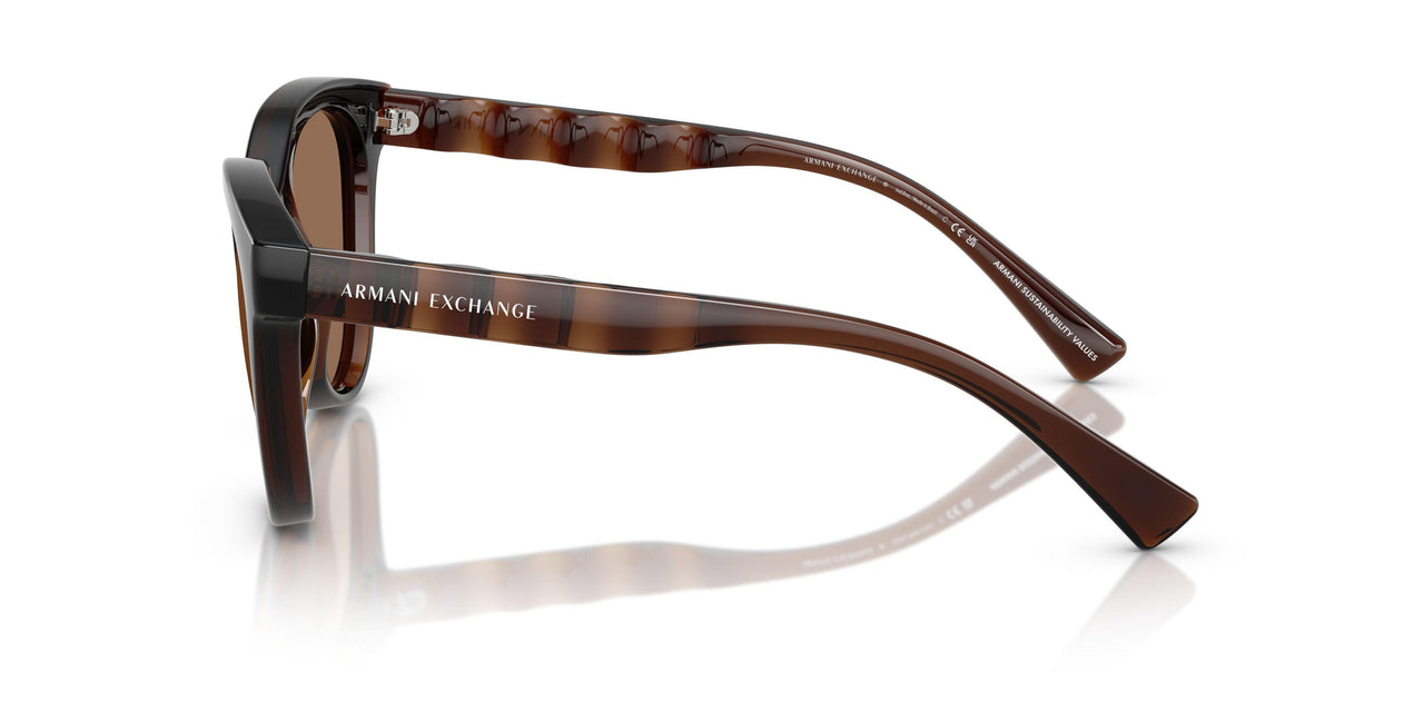 835773 - Brown - Dark Brown