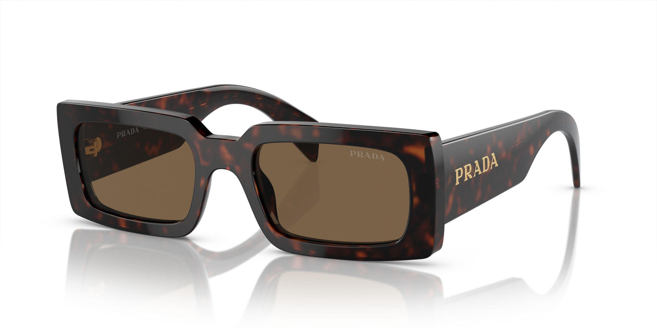 16N5Y1 - Brown - Dark Brown Polarized