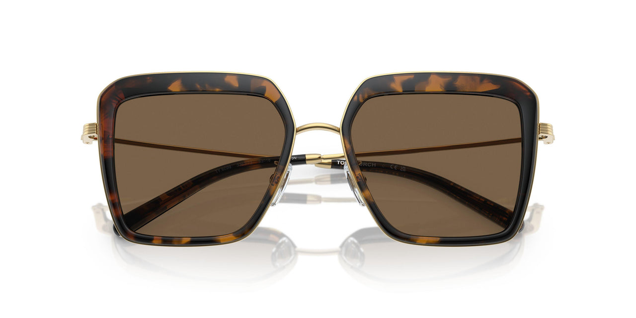 336373 - Tortoise - Dark Brown