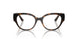 W656 - Brown