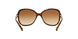 300213 - Havana - Brown Gradient