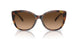 574274 - Tortoise - Brown Gradient