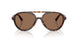 500273 - Tortoise - Dark Brown