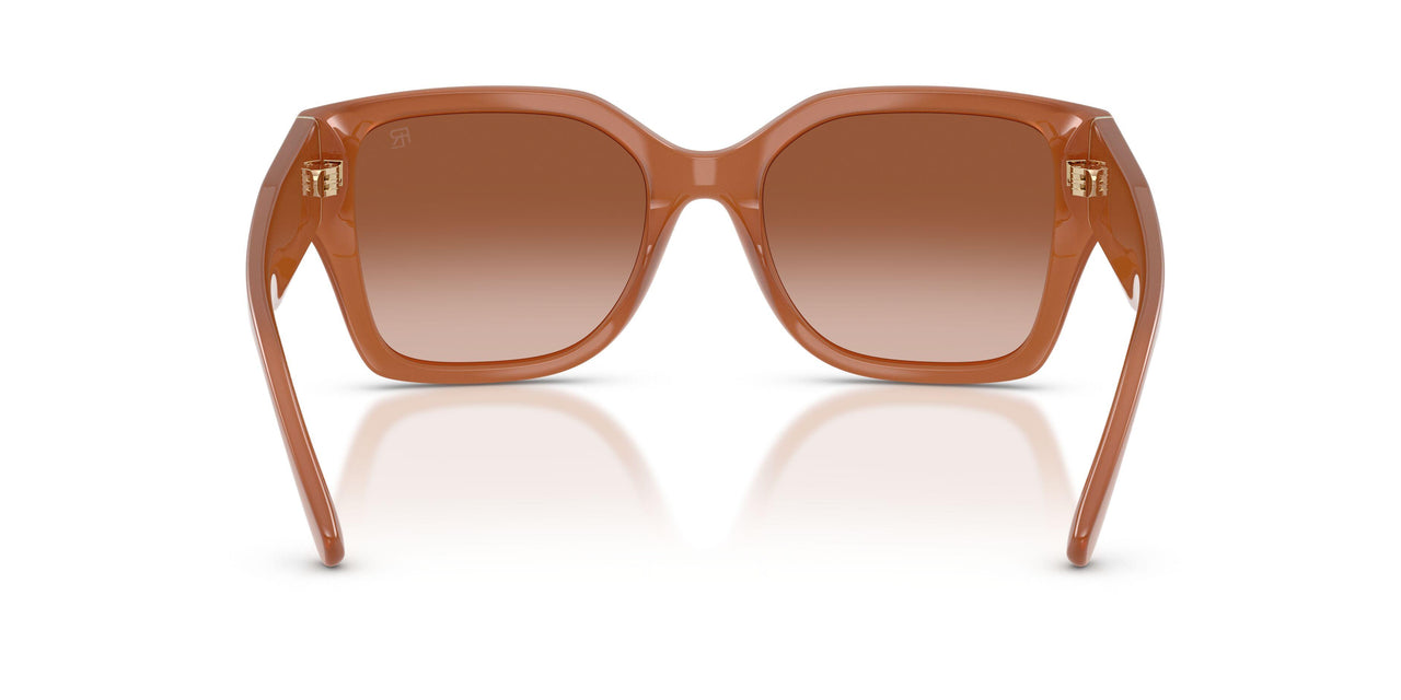624413 - Orange - Gradient Brown