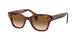 954/51 - Havana - Clear Gradient Brown