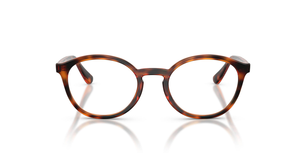W656 - Brown