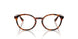 W656 - Brown