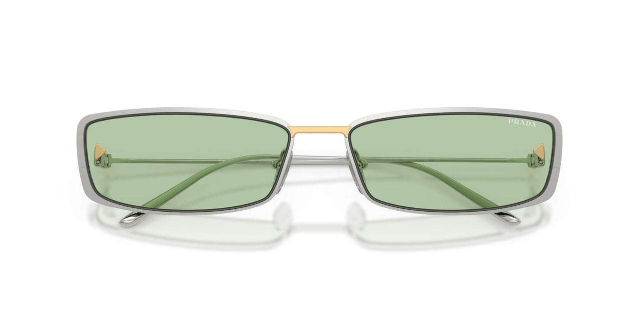 1BC61C - Silver - Green