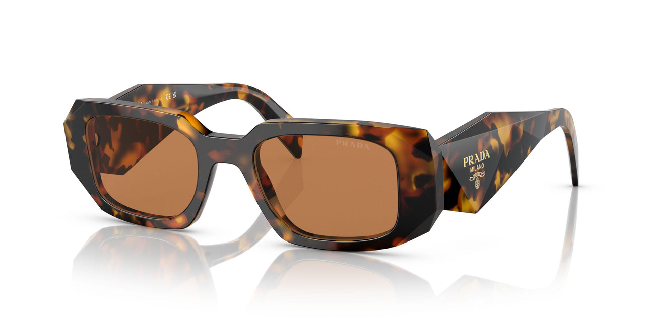 VAU2Z1 - Havana - Dark Brown
