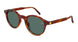 004 - Havana - Green