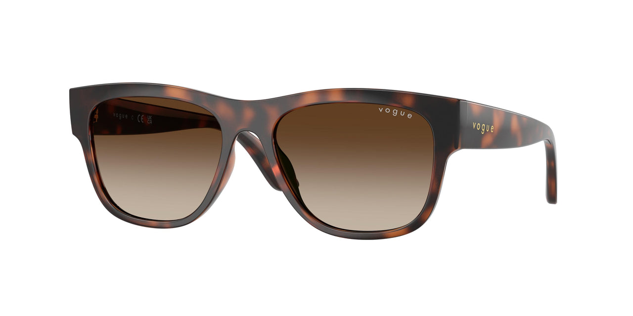 271813 - Brown - Gradient Brown
