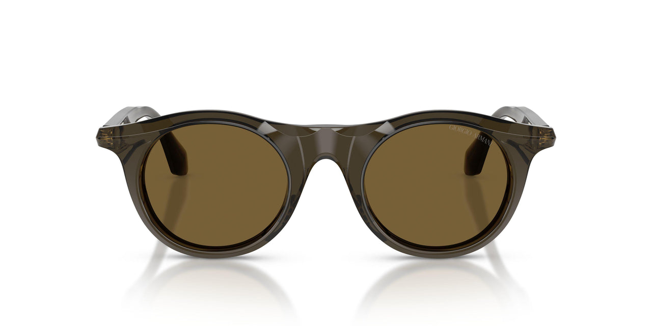 641973 - Green - Dark Brown