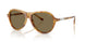 Ralph Lauren 8247U Sunglasses