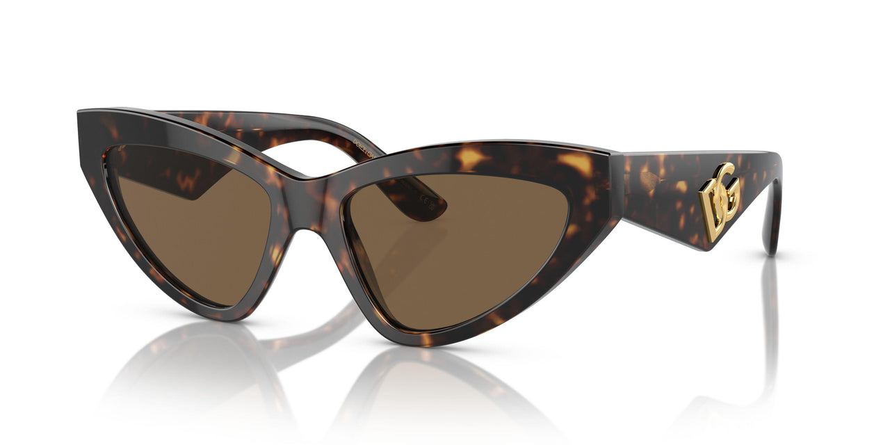 502/73 - Tortoise - Dark Brown