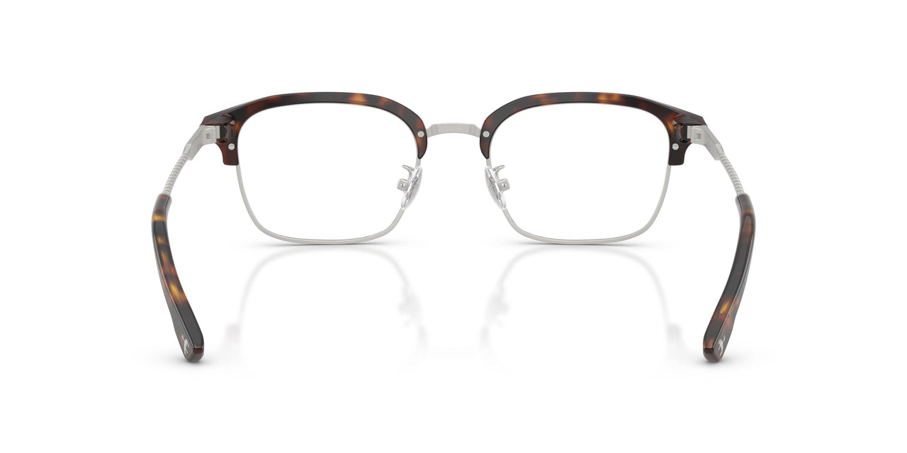 6161 - Tortoise