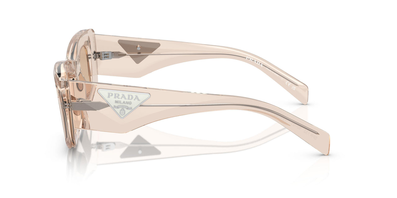 19M4I2 - Brown - Light Brown