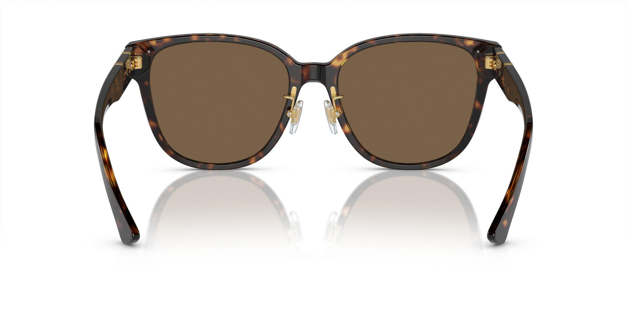 108/73 - Tortoise - Dark Brown