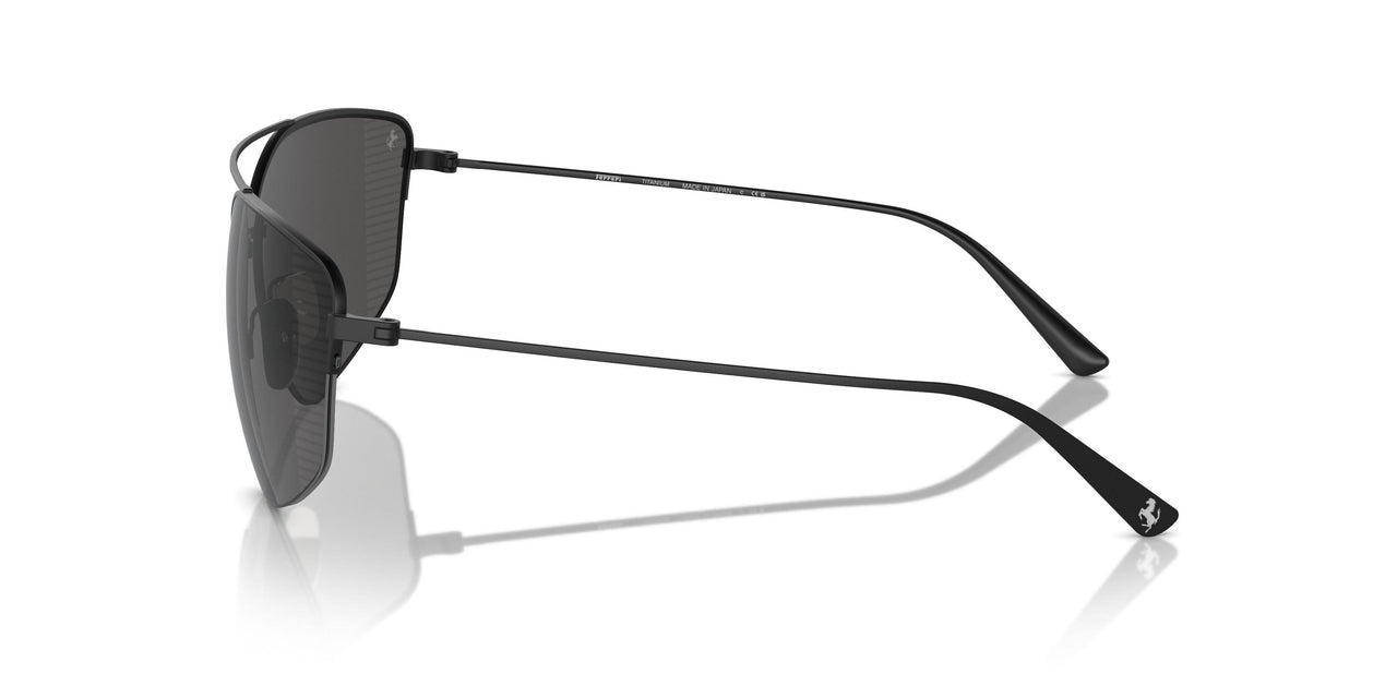 301/81 - Black - Polarized Grey