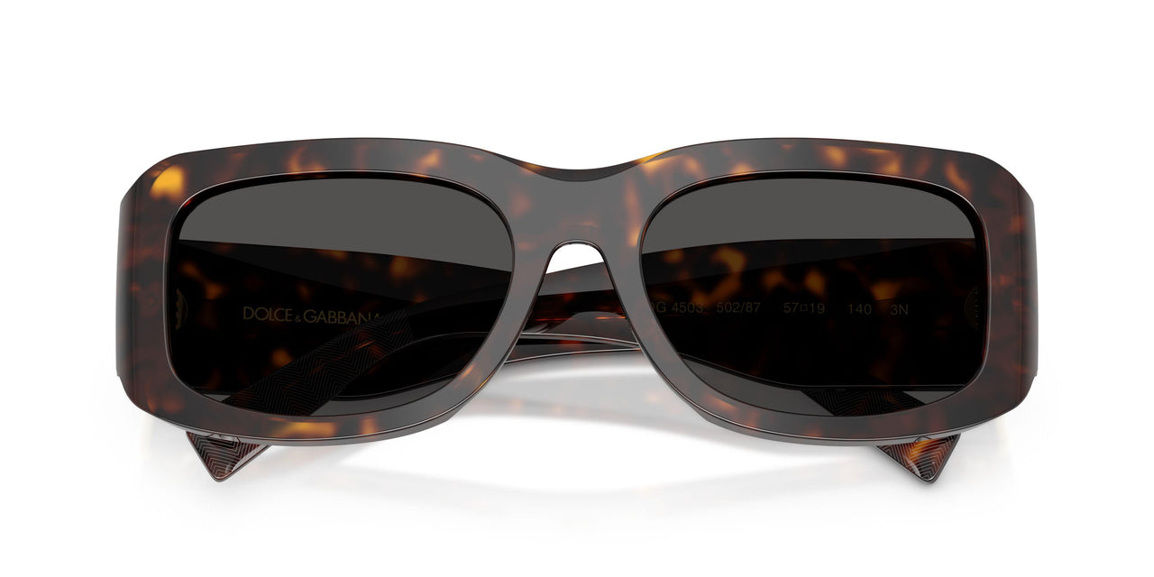 502/87 - Tortoise - Dark Grey
