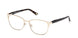 Skechers 50101 Eyeglasses