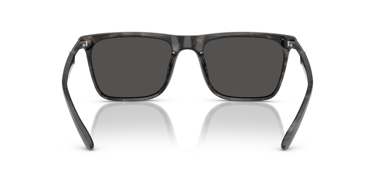 616887 - Tortoise - Dark Grey Solid