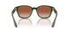 608613 - Green - Gradient Brown