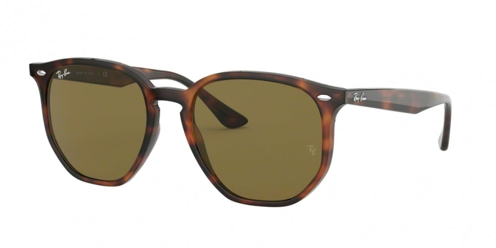 Ray-Ban 4306F Sunglasses