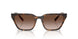 821313 - Tortoise - Gradient Brown