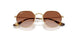 223/13 - Gold - Gradient Brown