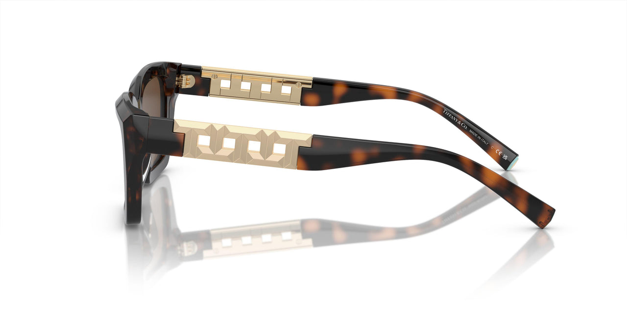 80153G - Tortoise - Light Brown