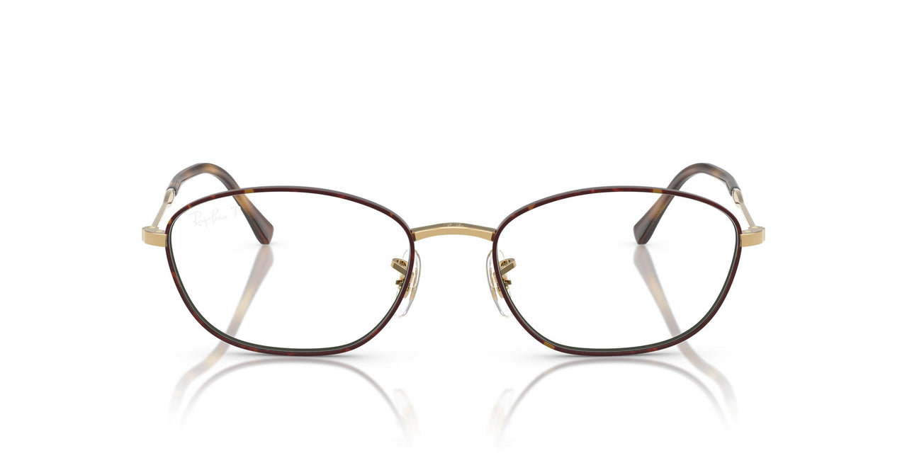 3177 - Tortoise - Clear