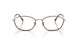 3177 - Tortoise - Clear