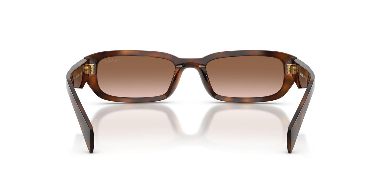 20D90P - Tortoise - Brown Gradient