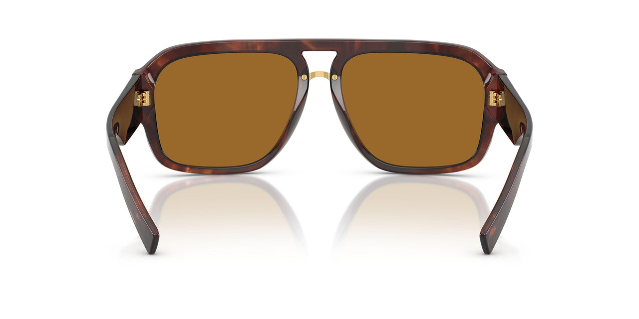 322283 - Red - Bronze Polarized
