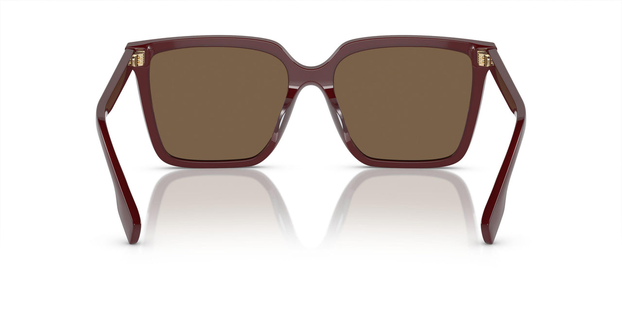 402273 - Red - Dark Brown