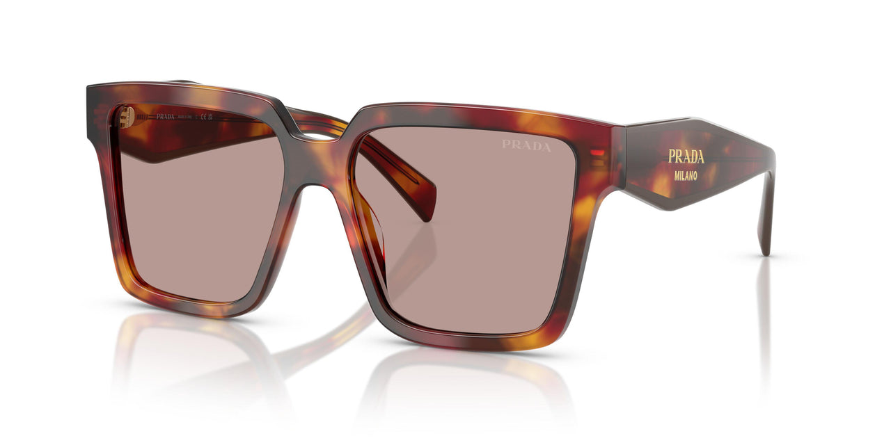 22A20I - Tortoise - Light Purple Brown