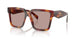22A20I - Tortoise - Light Purple Brown