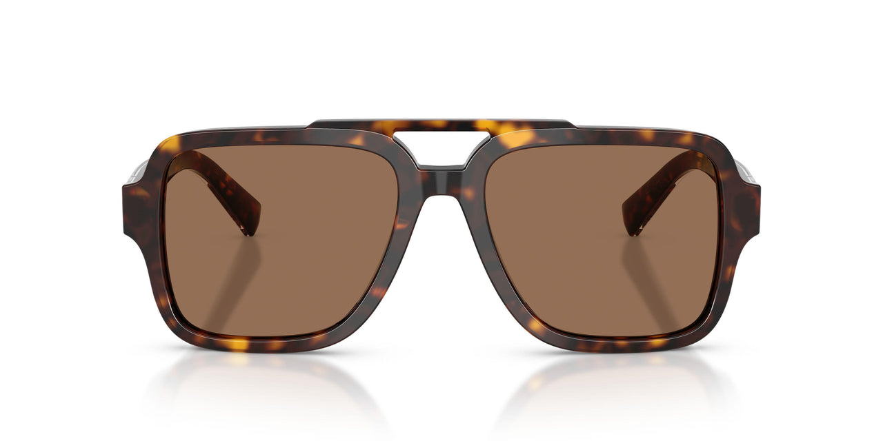 502/73 - Tortoise - Dark Brown