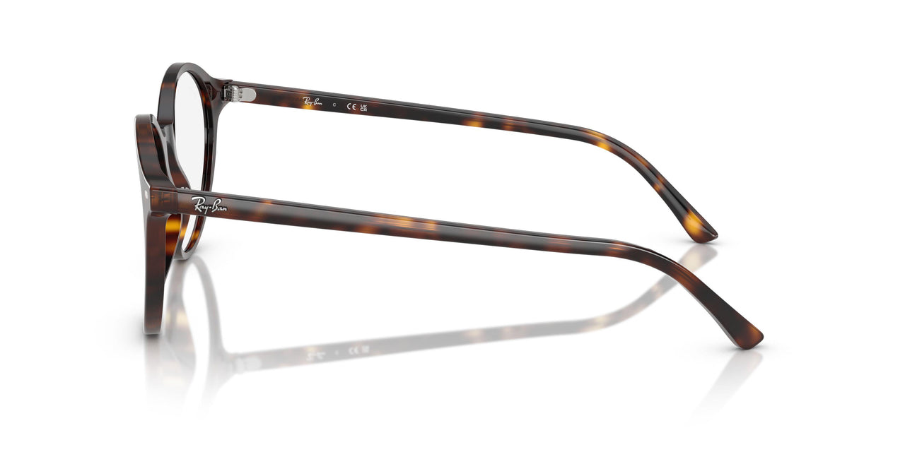 902/GH - Tortoise - Transitions 8 Grey