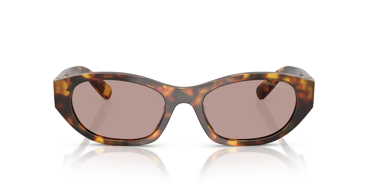 14L20I - Tortoise - Light Purple Brown
