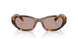 14L20I - Tortoise - Light Purple Brown