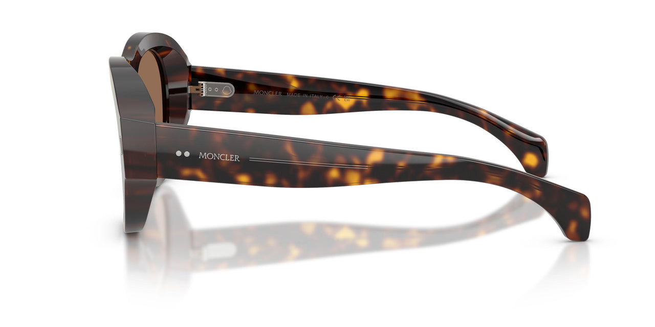 300273 - Tortoise - Brown Solid